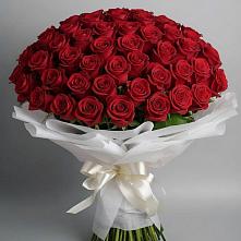 Букет 101 Красная роза Блэк Мэджик в Серышево
