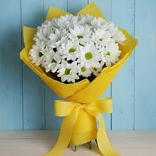 Букет цветов из:  Хризантемы в Серышево