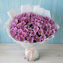 Букет цветов из:  Хризантемы в Серышево