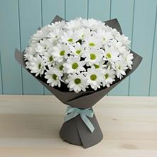 Букет цветов из:  Хризантемы #REPLACE_PRED# Серышево