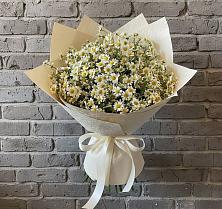 Букет цветов из:  Ромашки в Серышево