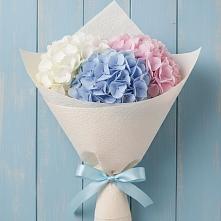Букет цветов из:  Гортензия в Серышево