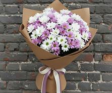 Букет цветов из:  Хризантемы в Серышево