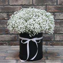 Цветочная композиция из Гипсофила в шляпной коробке в Серышево