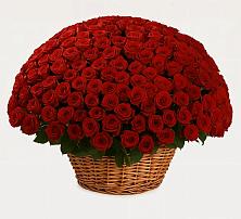 Премиум букет из: Розы в Серышево