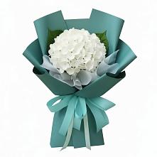 Букет цветов из:  Гортензия в Серышево